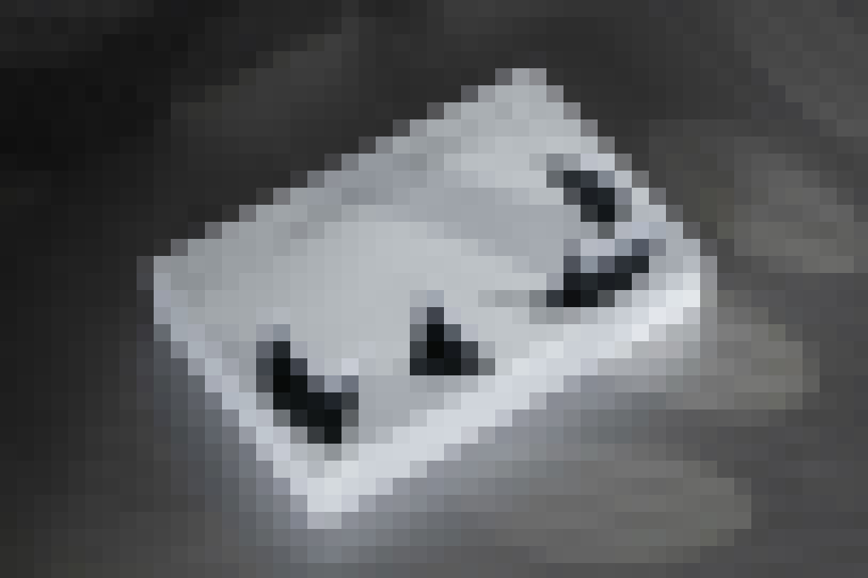 Image Title